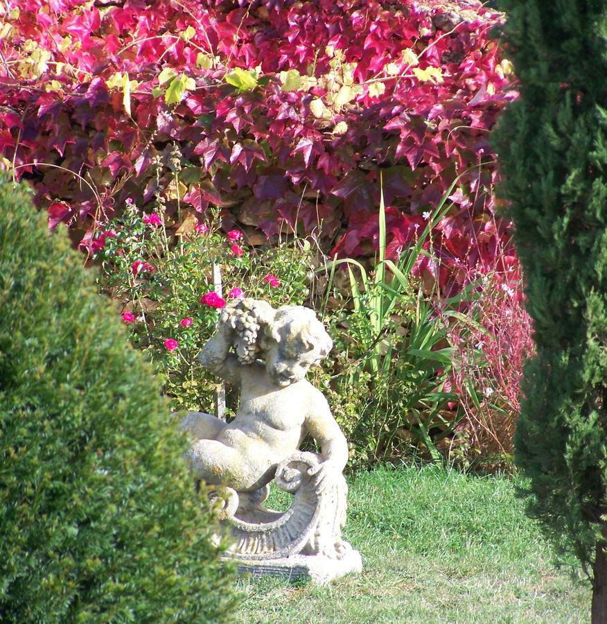 La Charmeraie Bed and Breakfast Saint-Cirq  Eksteriør billede